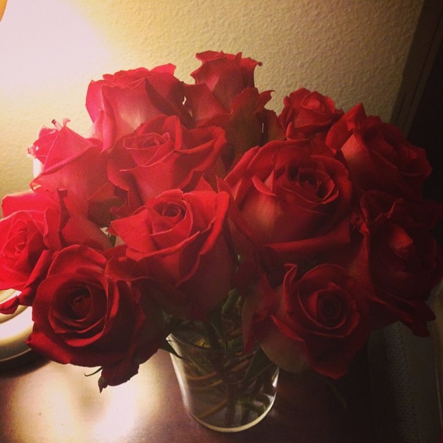 Valentine’s Day Roses